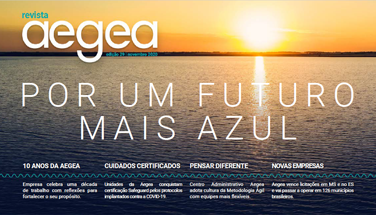  Revista Aegea Edição 29 | Novembro 2020